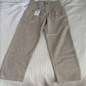 Zara Men's Beige Dress Pants